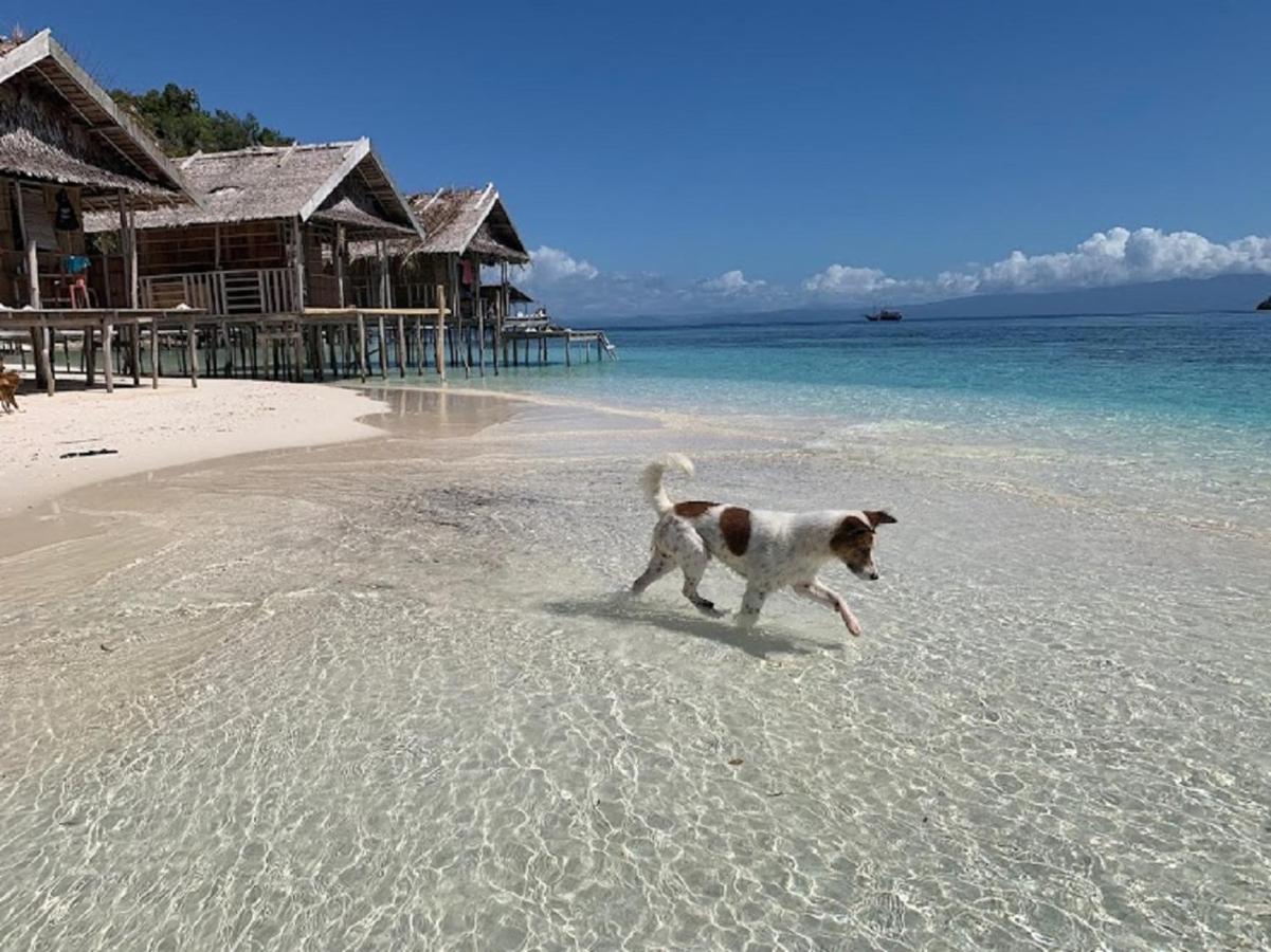 Nus Homestay Raja Ampat Kri Bagian luar foto